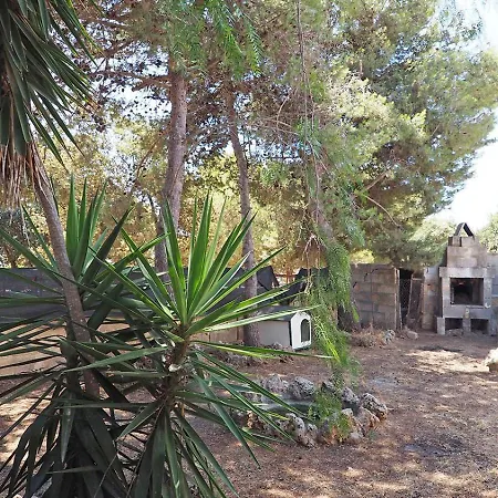 Leda مارينا دي مانكافيسا